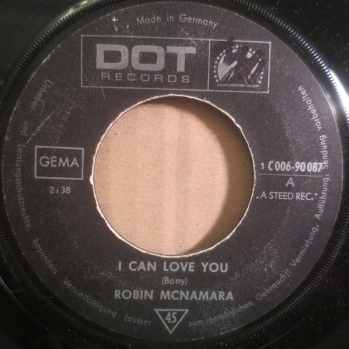 Vinyl / Robin McNamara - I Can Love You