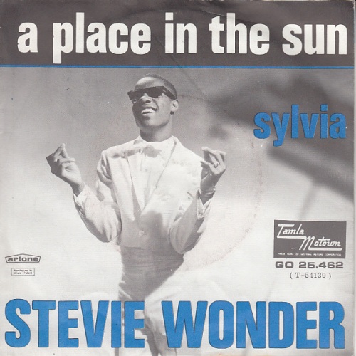 Vinyl / Stevie Wonder - A Place In The Sun