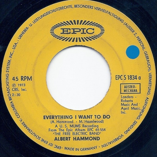 Vinyl / Albert Hammond - Everything I Want To Do