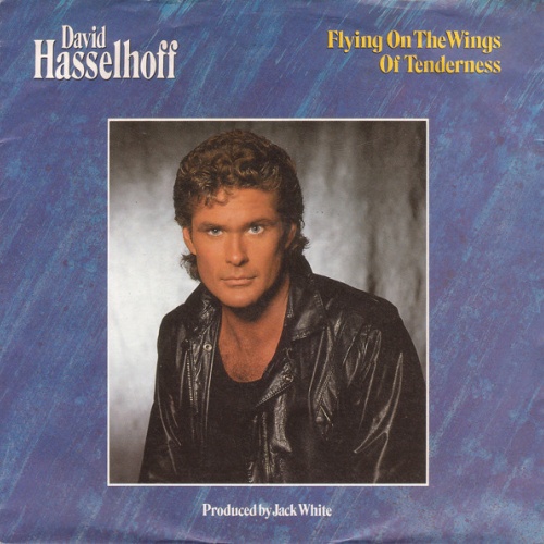 Vinyl / David Hasselhoff - Flying On The Wings Of Tenderness