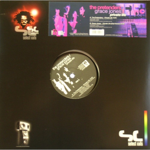 Vinyl / The Pretenders / Grace Jones - Private Life