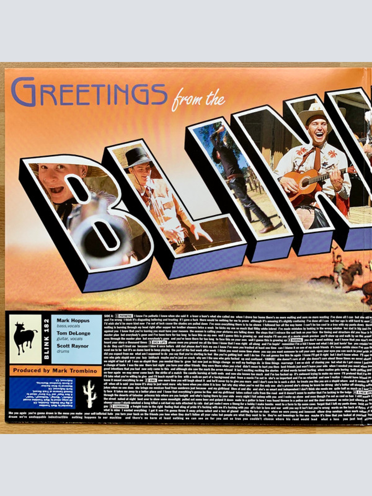 Vinyl / Blink 182* - Dude Ranch