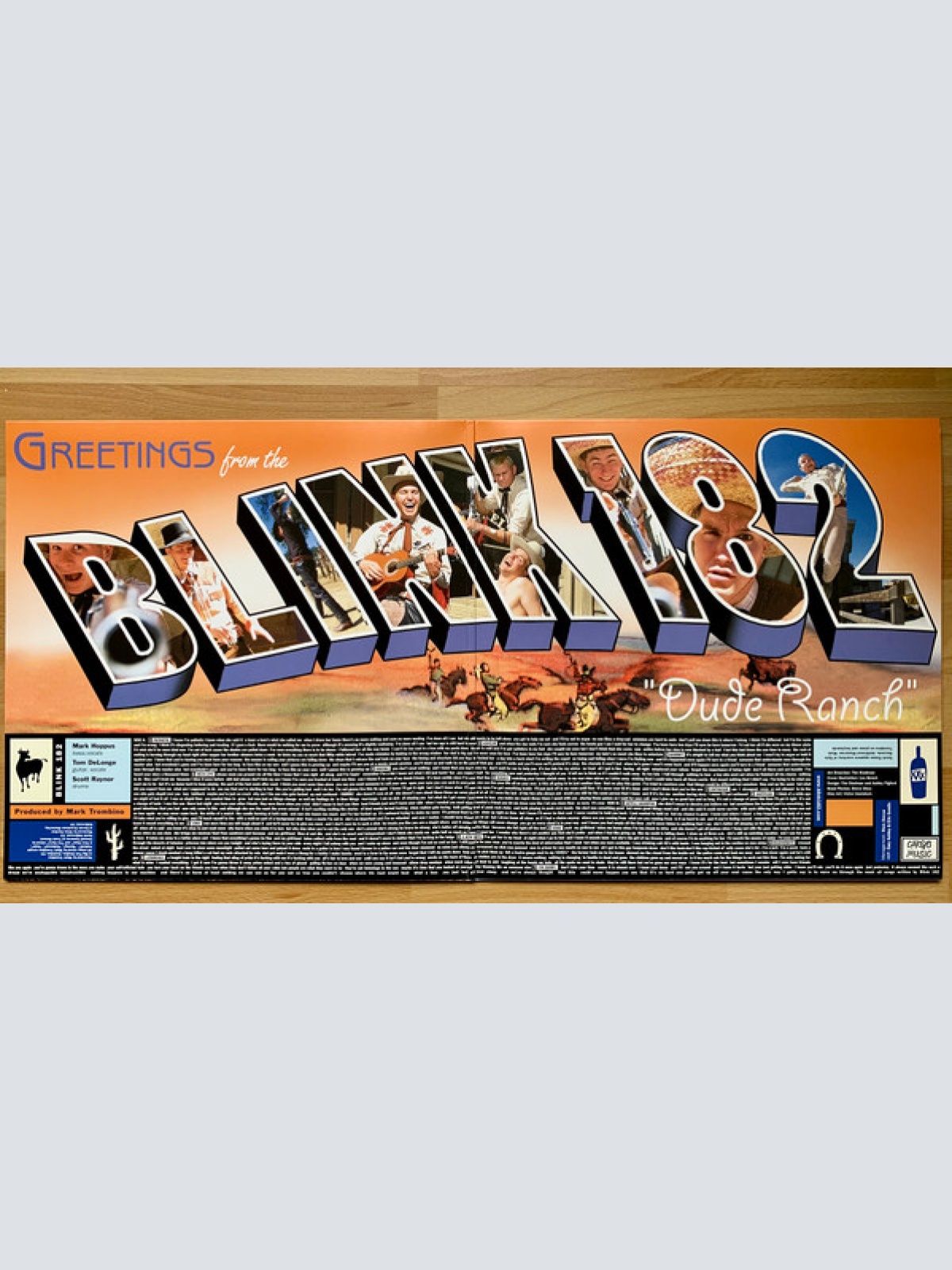 Vinyl / Blink 182* - Dude Ranch