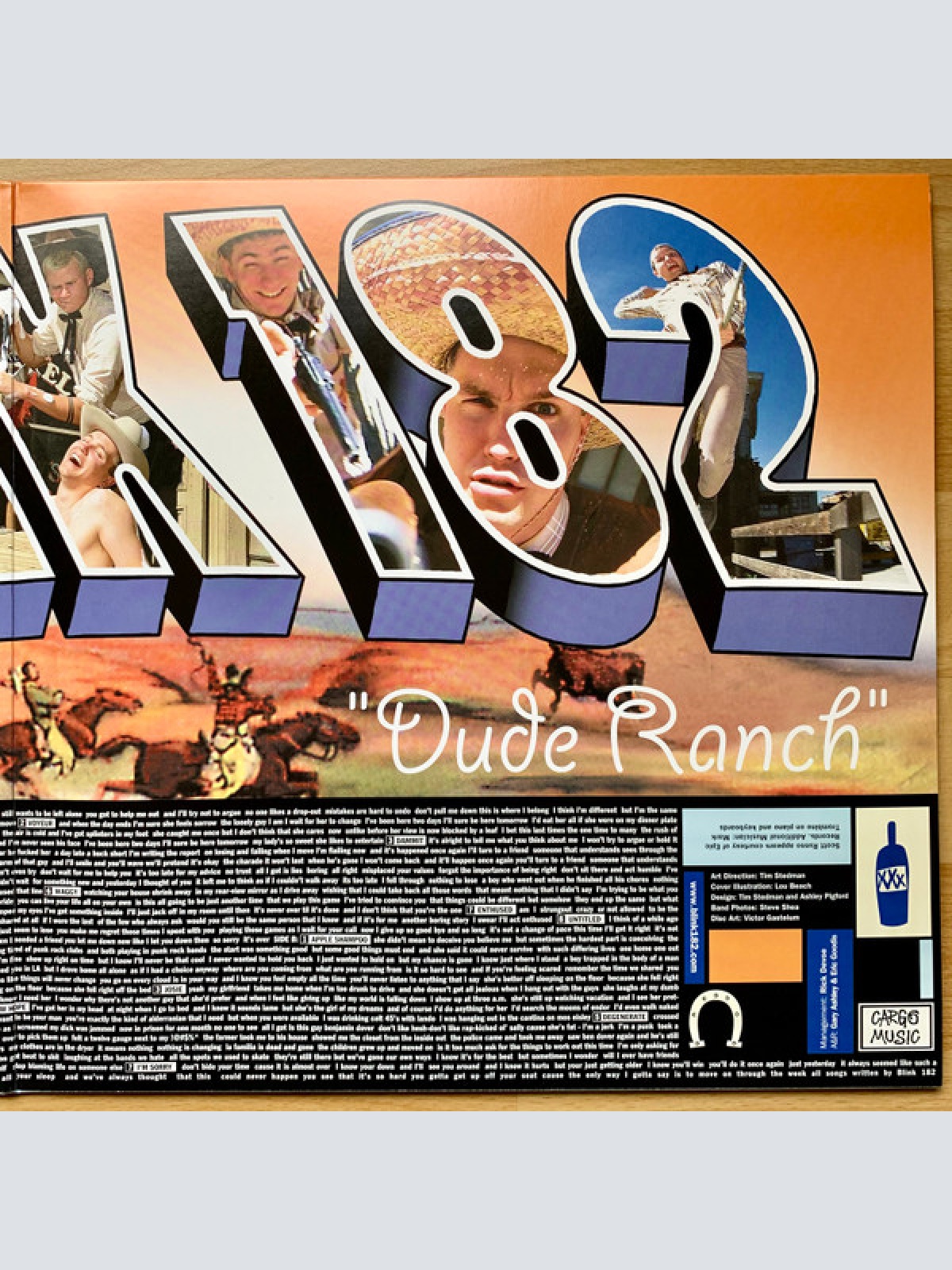 Vinyl / Blink 182* - Dude Ranch