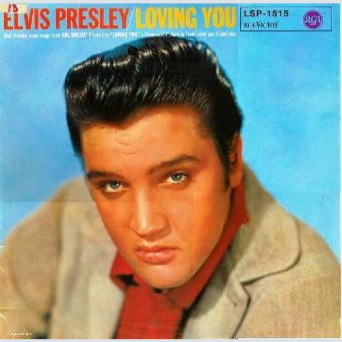 Vinyl / Elvis Presley - Loving You