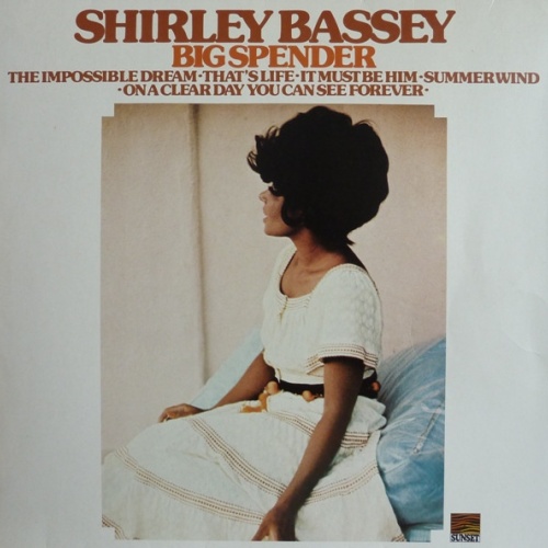 Vinyl / Shirley Bassey - Big Spender