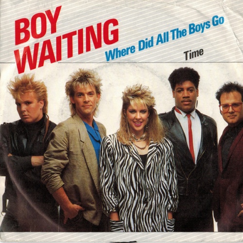 Vinyl / Boy Waiting - Where Did All The Boys Go