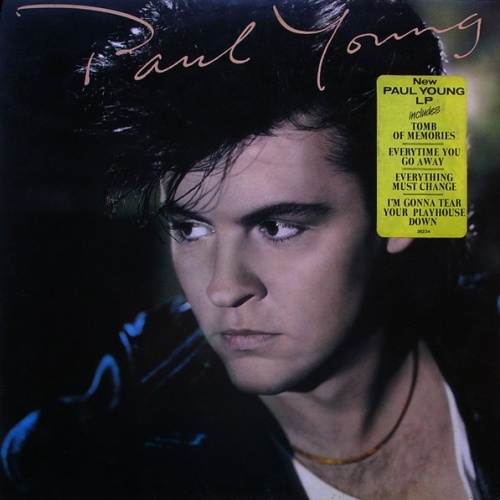 Vinyl / Paul Young - The Secret Of Association