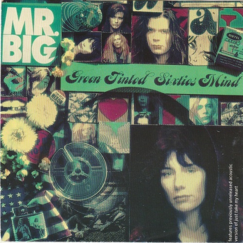 Vinyl / Mr. Big - Green Tinted Sixties Mind