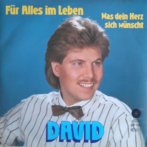 Vinyl / David (27) - Für Alles Im Leben