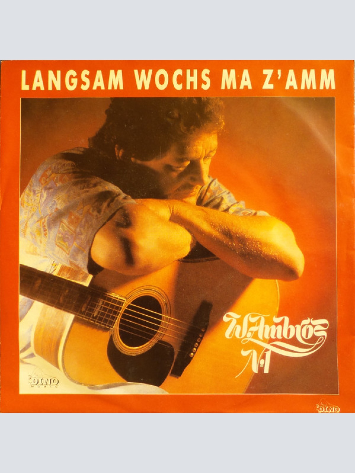Vinyl / W. Ambros*, № 1* - Langsam Wochs Ma Z'amm