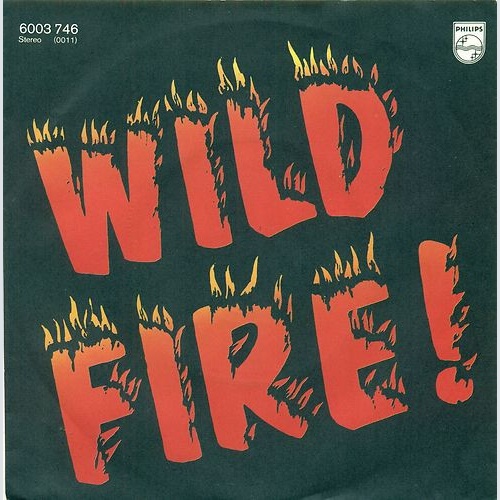 Vinyl / Wild Fire (3) - Wild Fire / Be On The Run, John