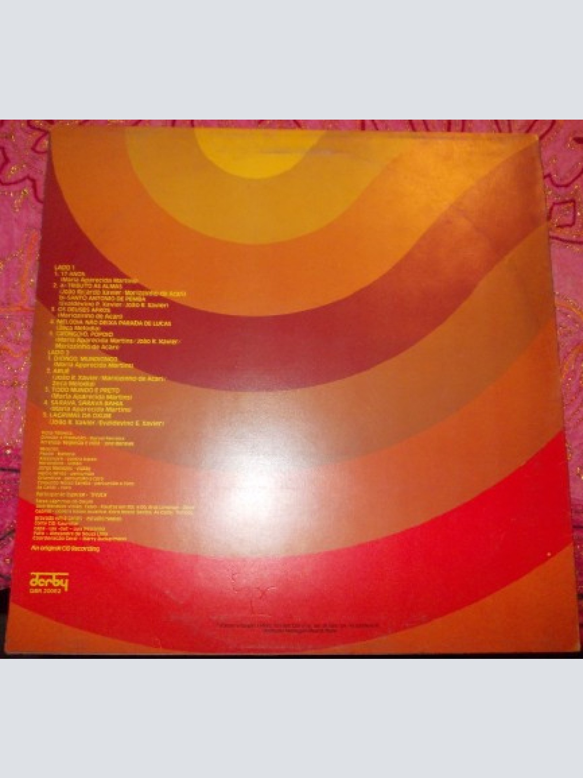 Vinyl / Aparecida - Foram 17 Anos