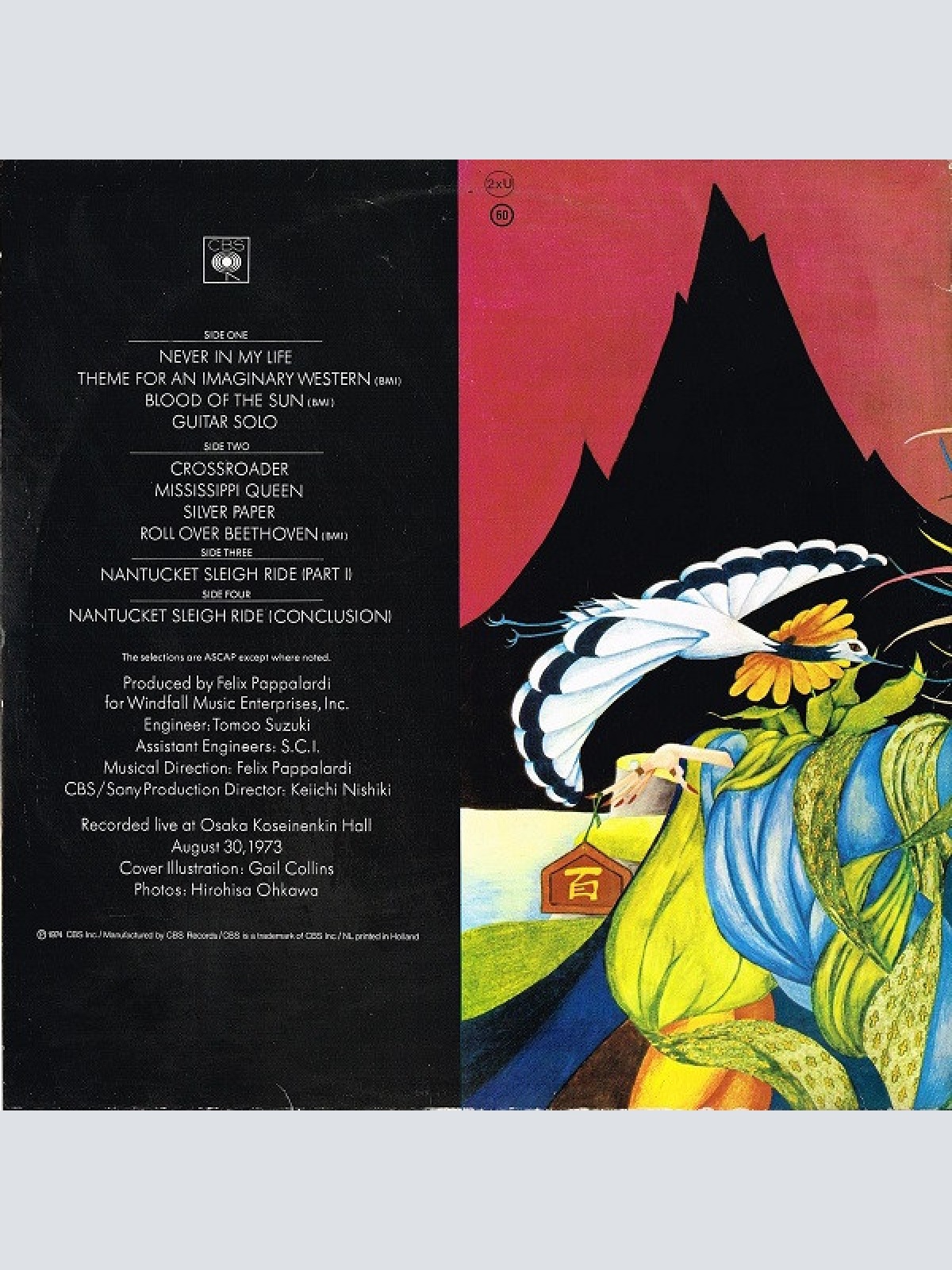 Vinyl / Mountain - Twin Peaks