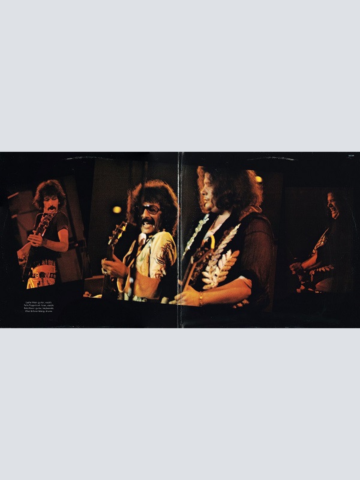 Vinyl / Mountain - Twin Peaks