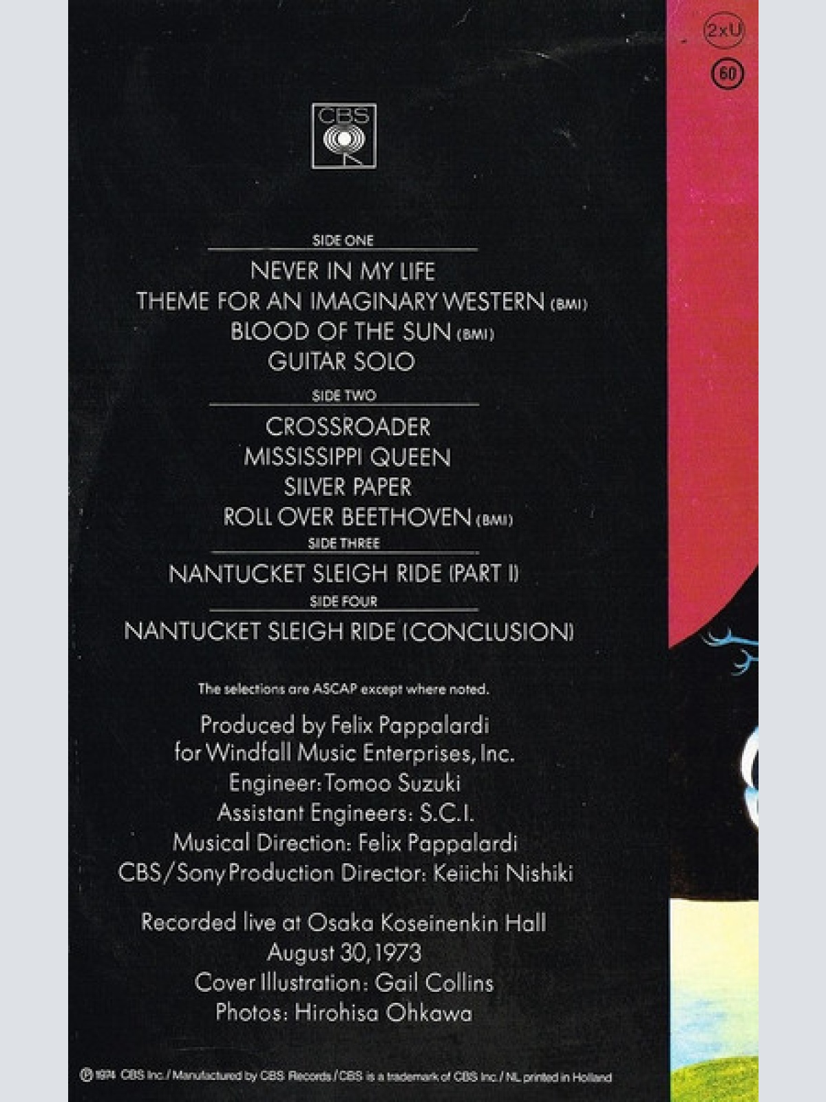 Vinyl / Mountain - Twin Peaks