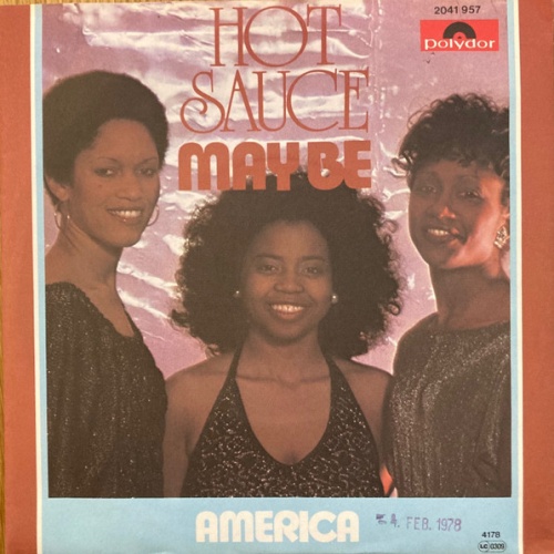 Vinyl / Hot Sauce (3) - May Be / America