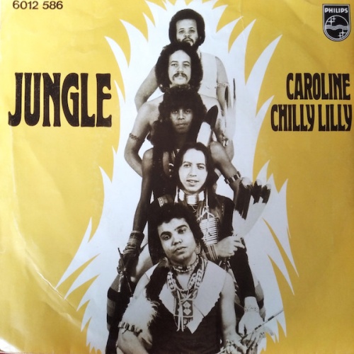 Vinyl / Jungle (9) - Caroline