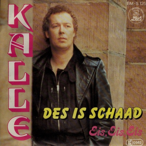 Vinyl / Kalle (3) - Des Is Schaad