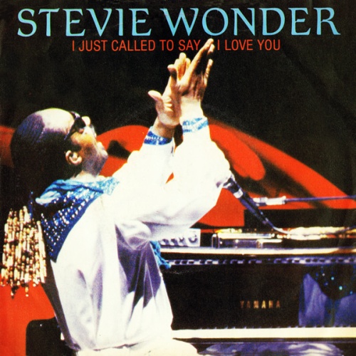 Vinyl / Stevie Wonder - I Just Called To Say I Love You