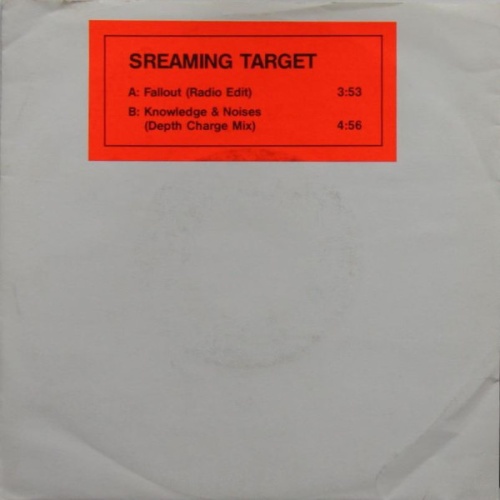 Vinyl / Screaming Target - Fallout / Knowledge & Noises