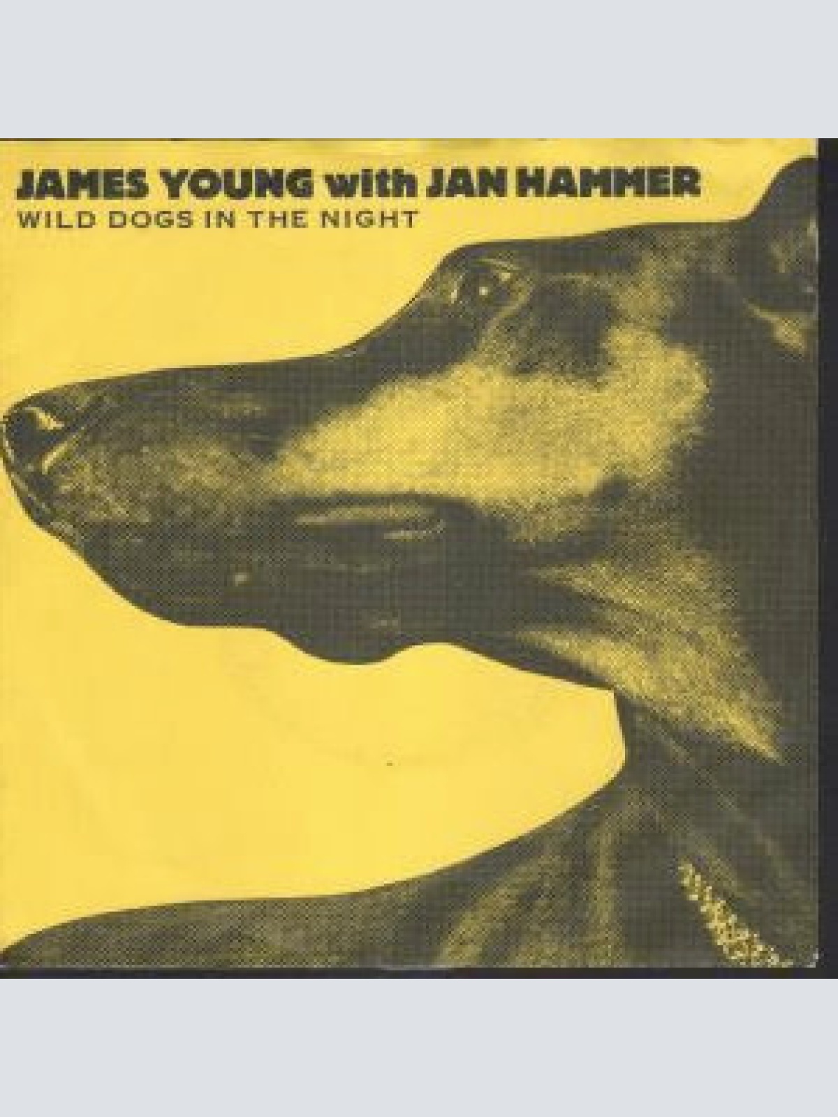 Vinyl / James Young (3) With Jan Hammer - Wild Dogs In The Night
