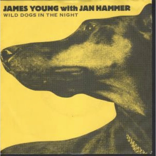 Vinyl / James Young (3) With Jan Hammer - Wild Dogs In The Night
