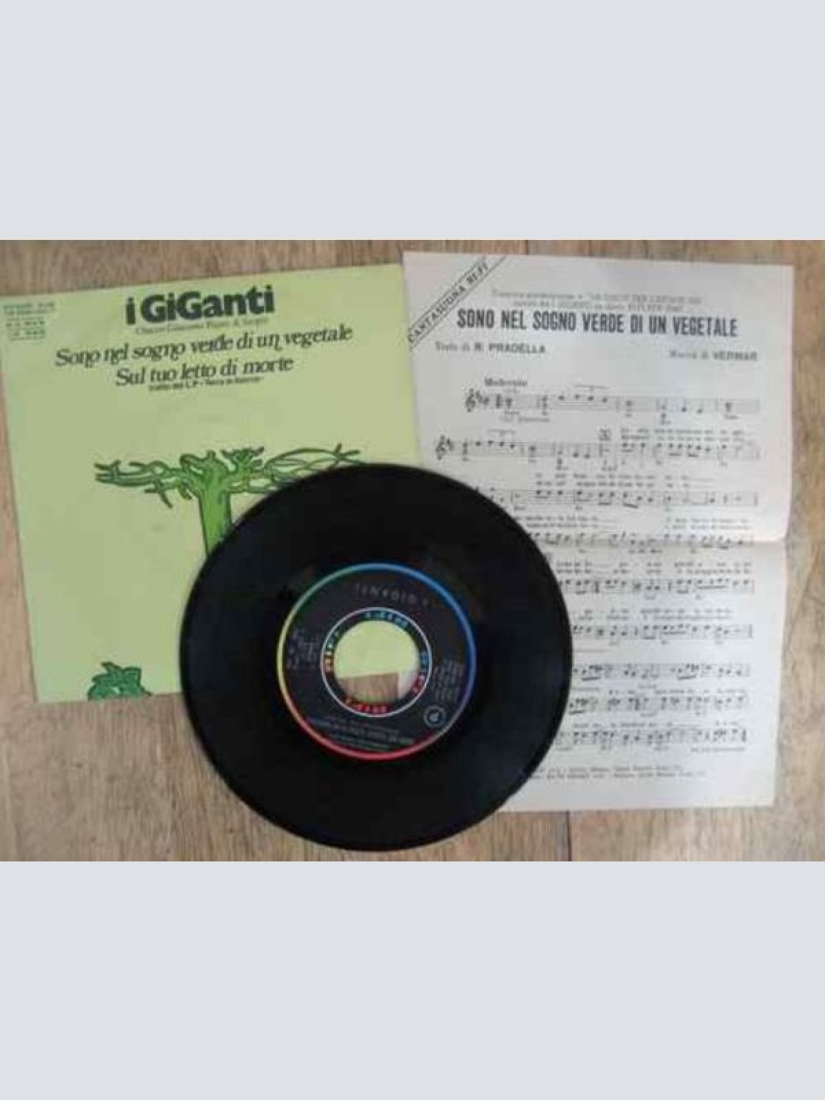 Vinyl / I Giganti - Sono Nel Sogno Verde Di Un Vegetale