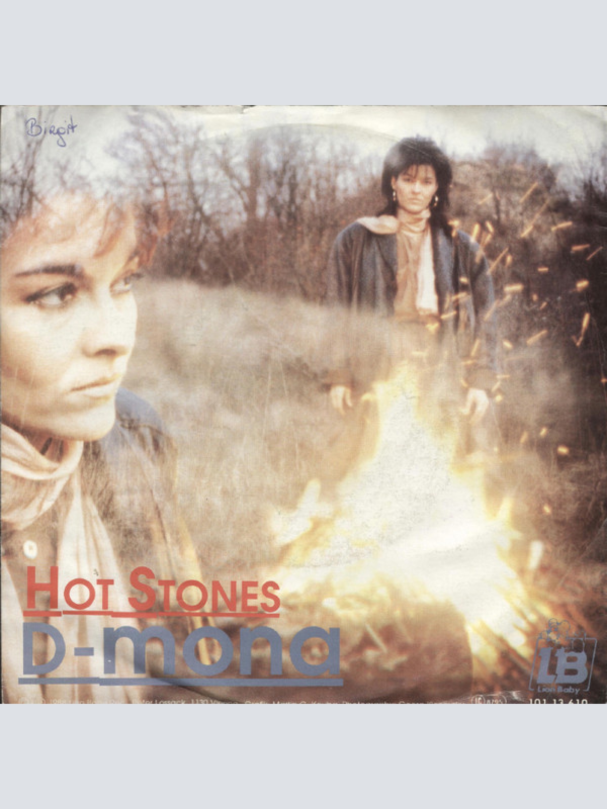 Vinyl / D-Mona - Hot Stones