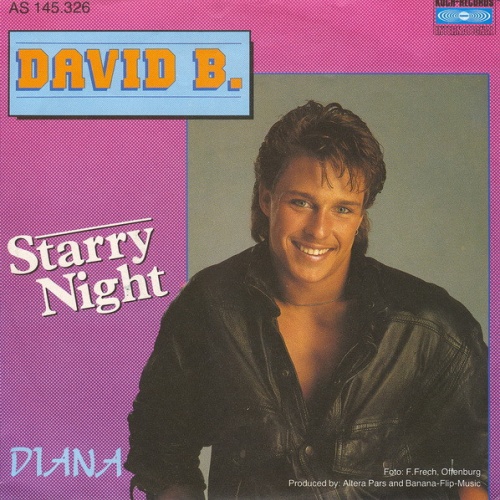 Vinyl / David B.* - Starry Night