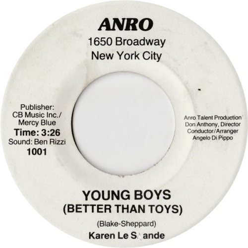 Vinyl / Karen Le Sande - Young Boys (Better Than Toys) / New York City Rhythm