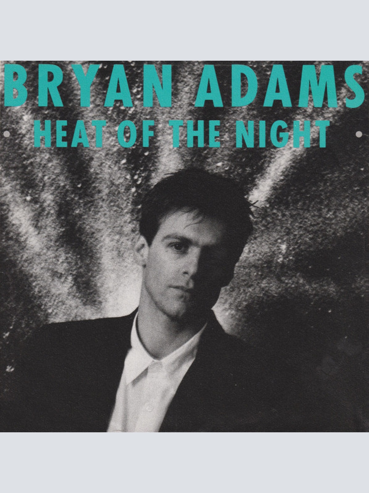 Vinyl / Bryan Adams - Heat Of The Night