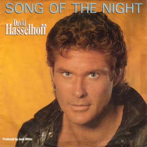 Vinyl / David Hasselhoff - Song Of The Night