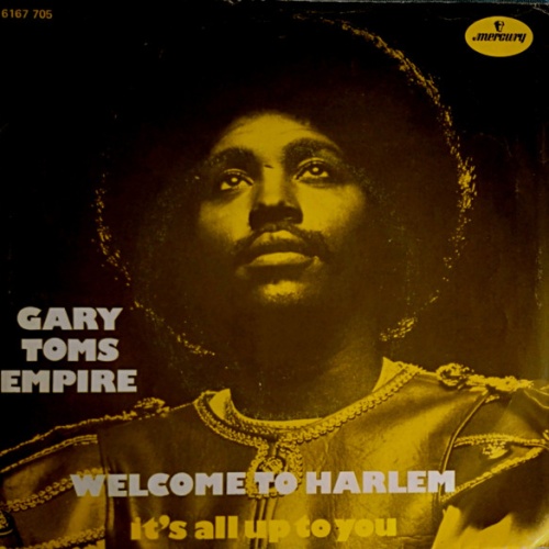 Vinyl / Gary Toms Empire - Welcome To Harlem