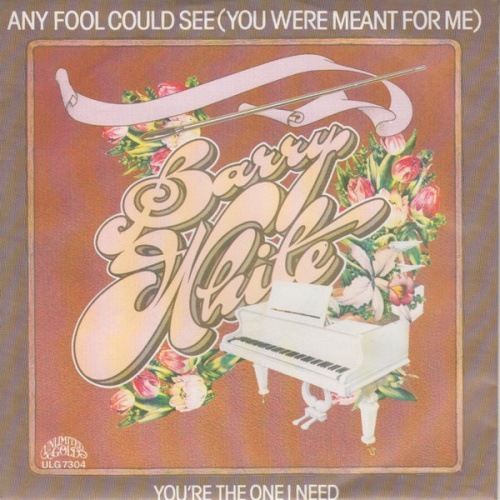 Vinyl / Barry White - Any Fool Could See (You Were Meant For Me)