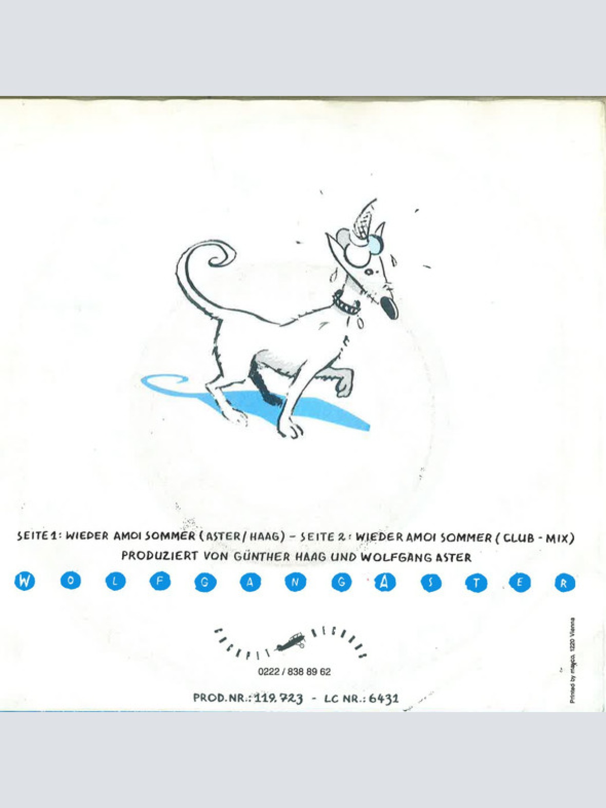 Vinyl / Wolfgang Aster - Wieder Amoi Sommer