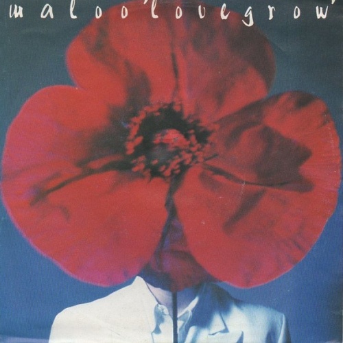 Vinyl / Maloo* - Lovegrow
