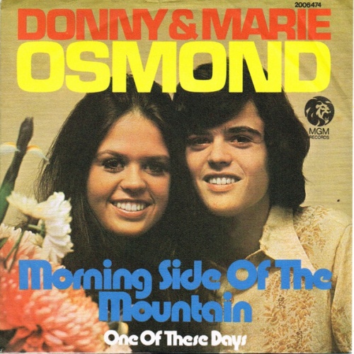 Vinyl / Donny & Marie Osmond - Morning Side Of The Mountain