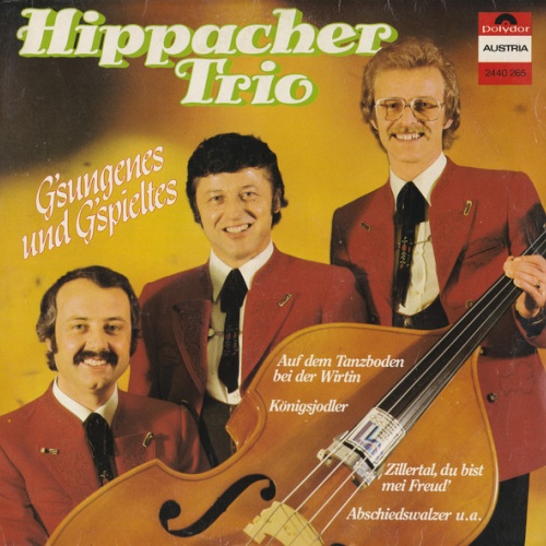 Vinyl / Hippacher Trio - G'sungenes Und G'spieltes
