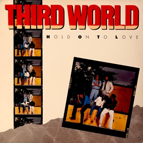 Vinyl / Third World - Hold On To Love