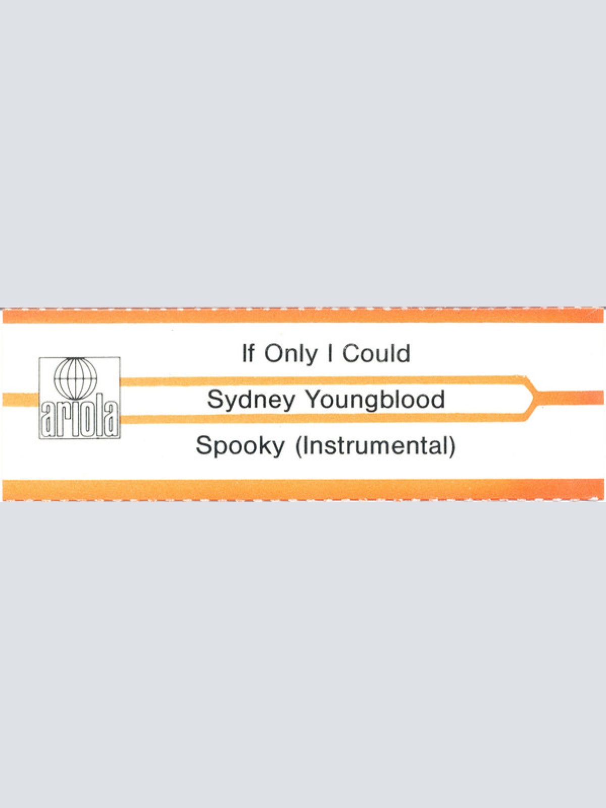 Vinyl / Sydney Youngblood - If Only I Could
