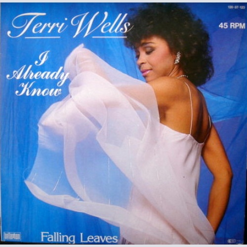 Vinyl / Terri Wells - I Already Know