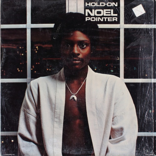 Vinyl / Noel Pointer - Hold On