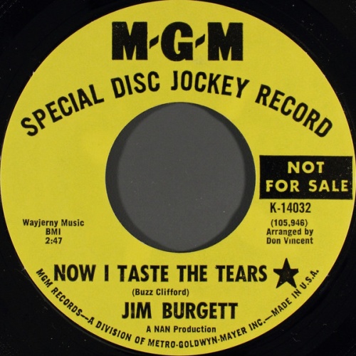 Vinyl / Jim Burgett - Now I Taste The Tears