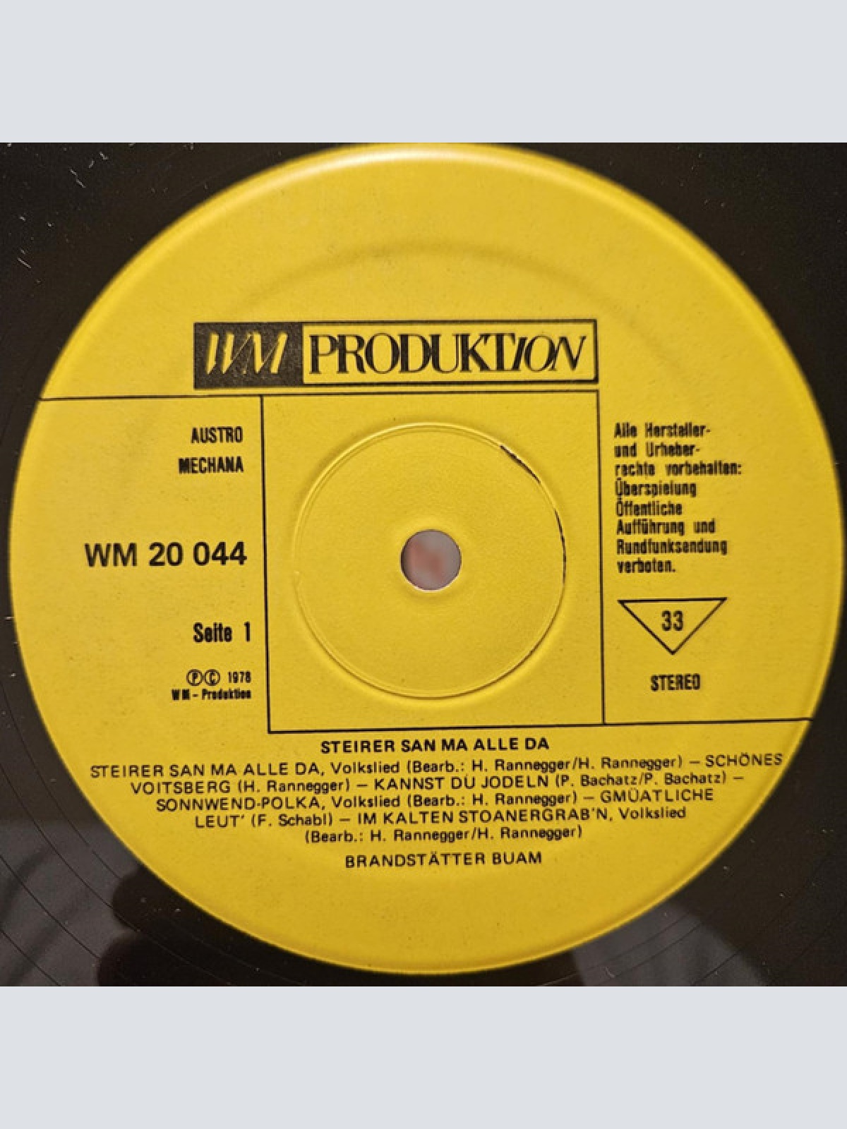 Vinyl / Brandstätter Buam* - Steirer San Ma Alle Da