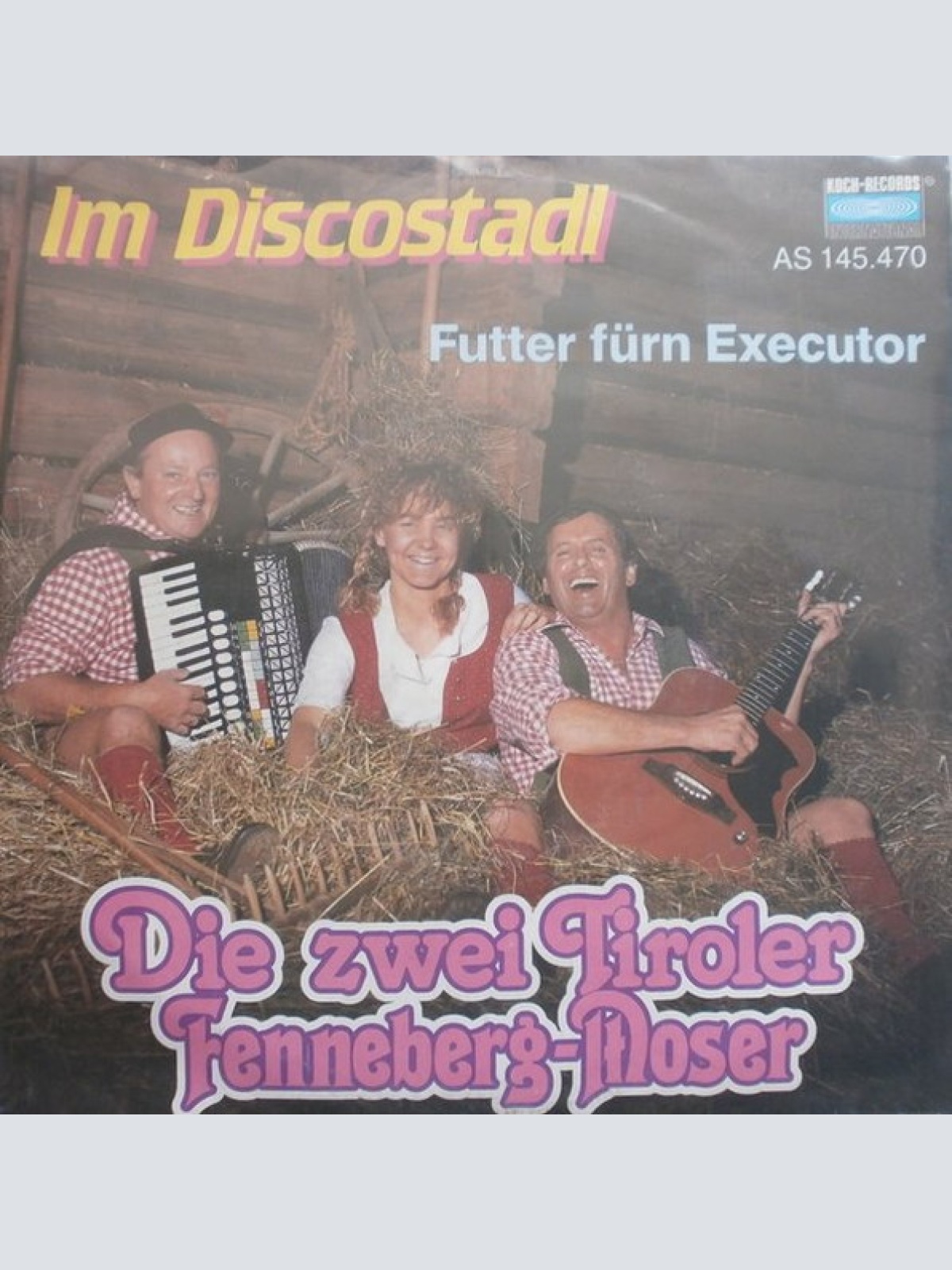 Vinyl / Die Zwei Tiroler Fenneberg-Moser* - Im Discostadl
