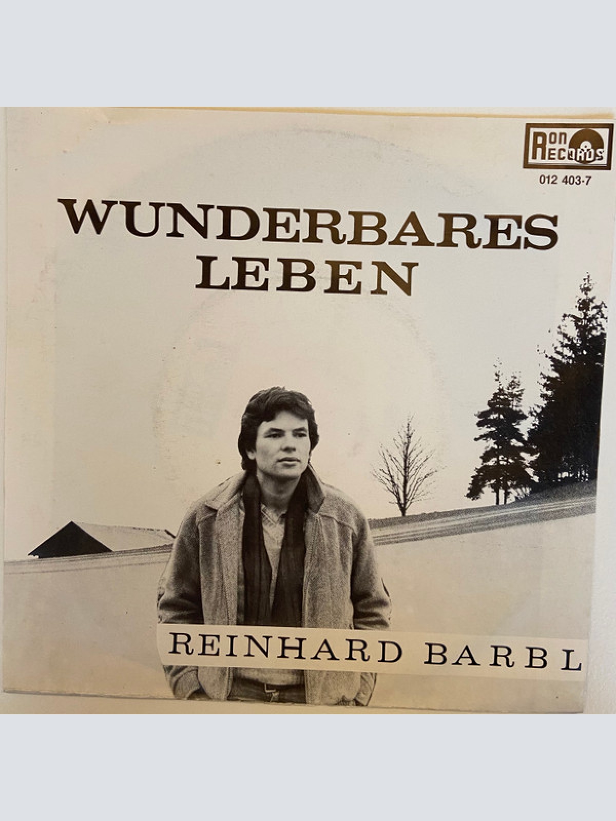 Vinyl / Reinhard Barbl - Wunderbares Leben - Sorglos