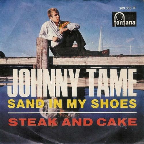Vinyl / Johnny Tame - Sand In My Shoes / Steak And Cake