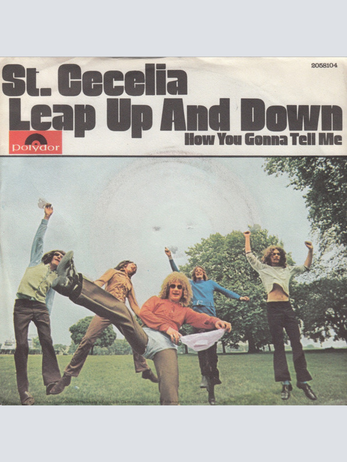 Vinyl / St. Cecelia - Leap Up And Down