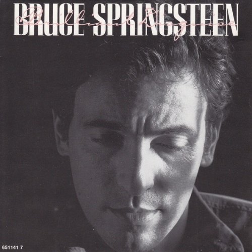 Vinyl / Bruce Springsteen - Brilliant Disguise